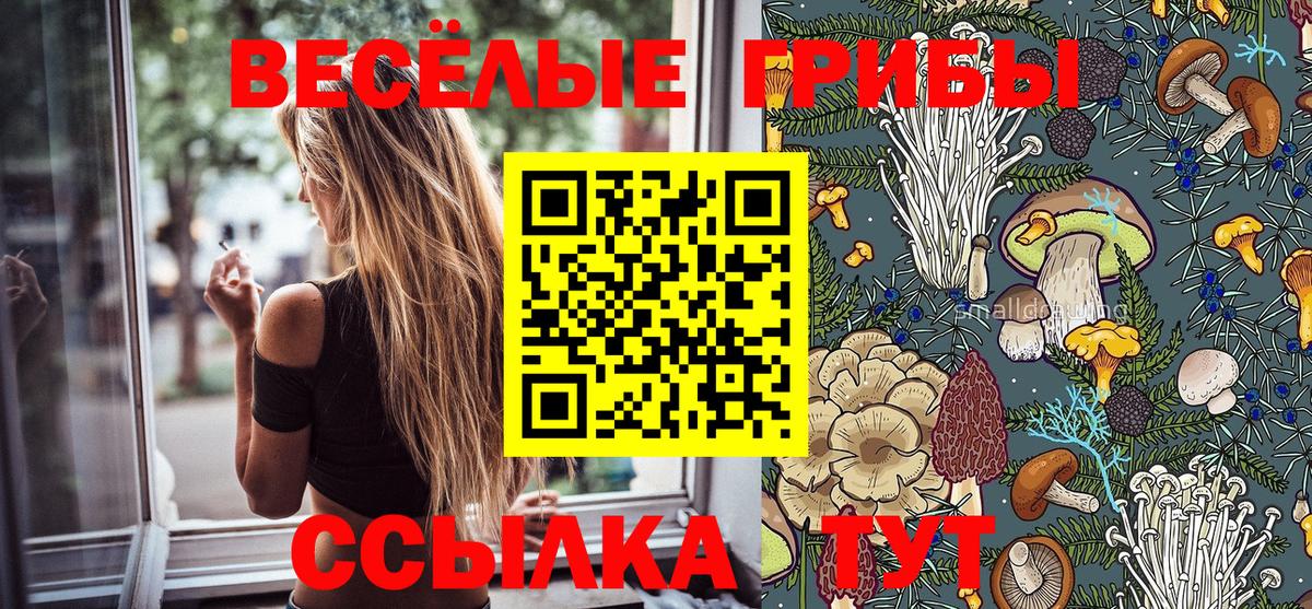 Псилоцибиновые грибы GOLDEN TEACHER  Псилоцибиновые грибы ЛСД  где продают наркотики  Вход с VPN  Георгиевск 