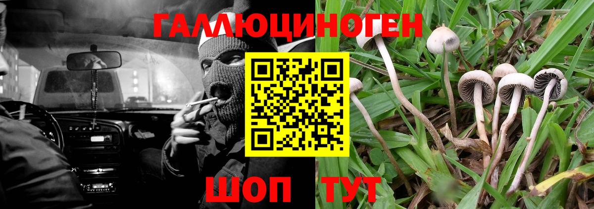Галлюциногенные грибы MAGIC MUSHROOMS Георгиевск